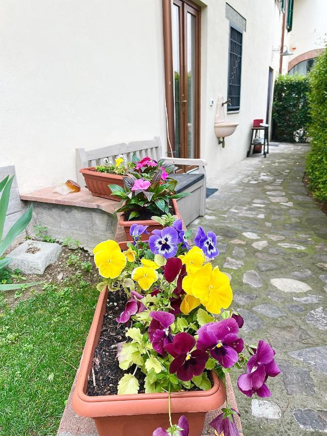 Dalu Florence Apartment Lucilla - Private Car Park 15 Minutes To The City Center Eksteriør bilde