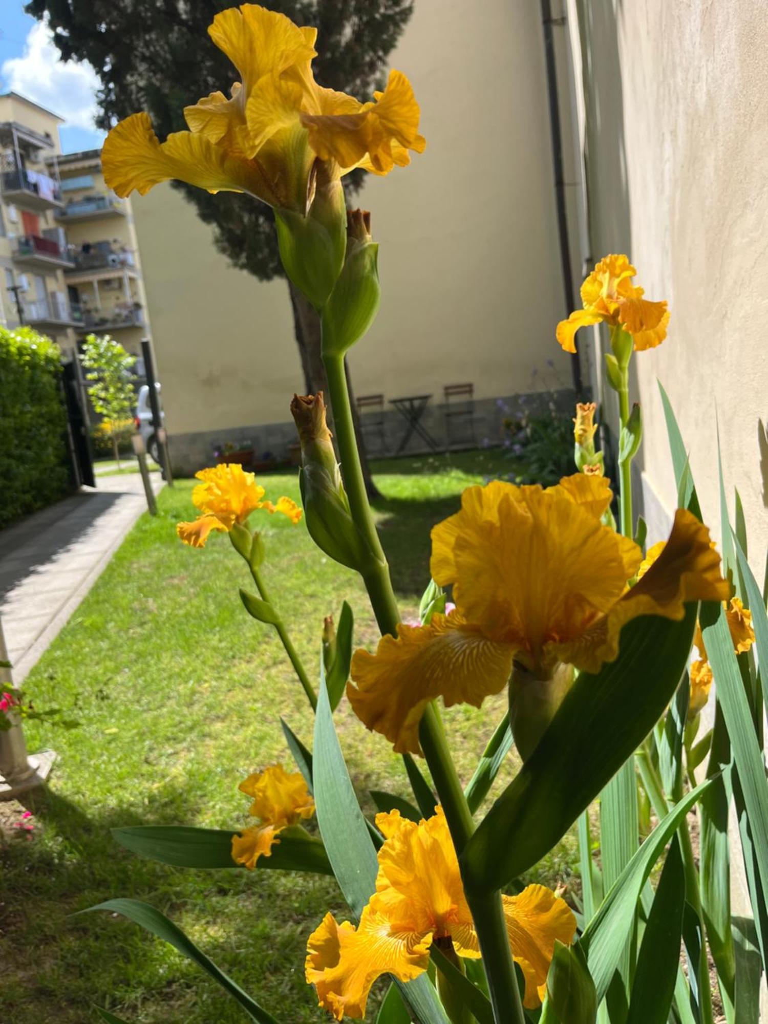 Dalu Florence Apartment Lucilla - Private Car Park 15 Minutes To The City Center Eksteriør bilde